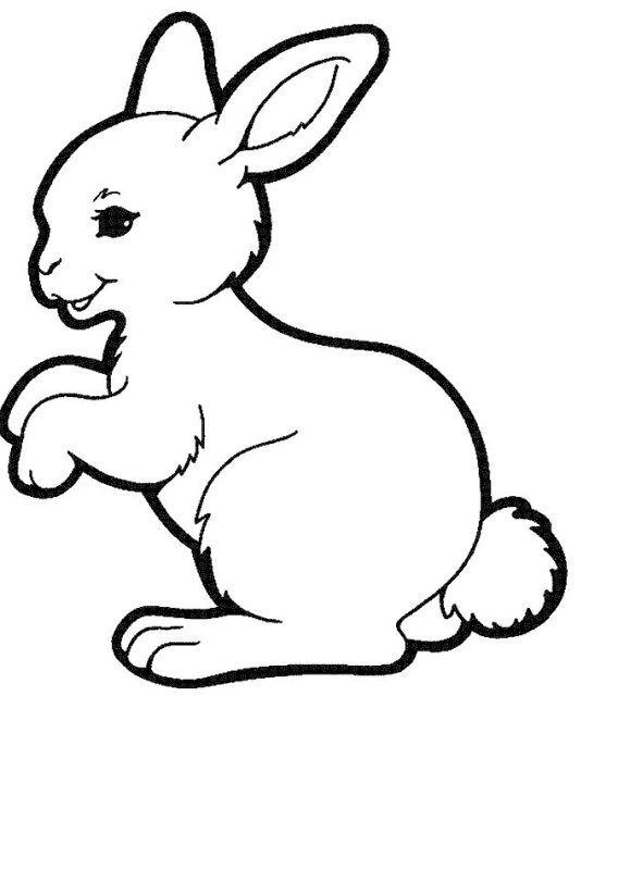 Заяц раскраска