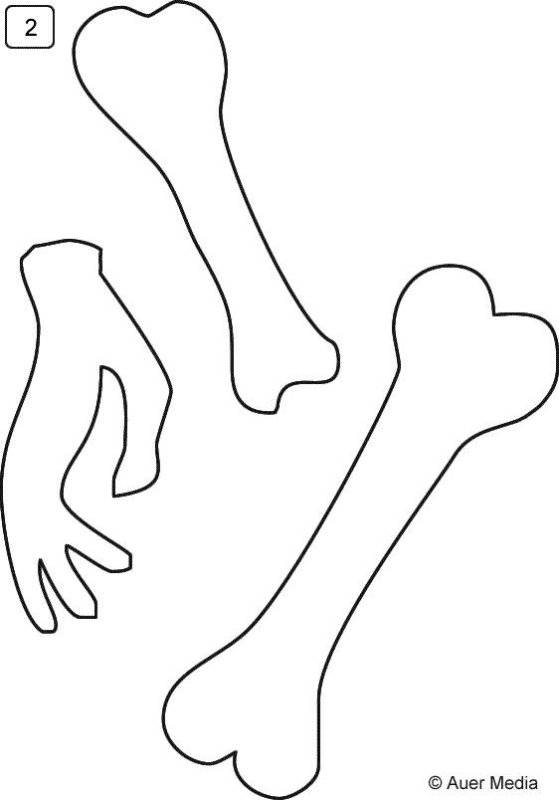 Шаблон костей скелета