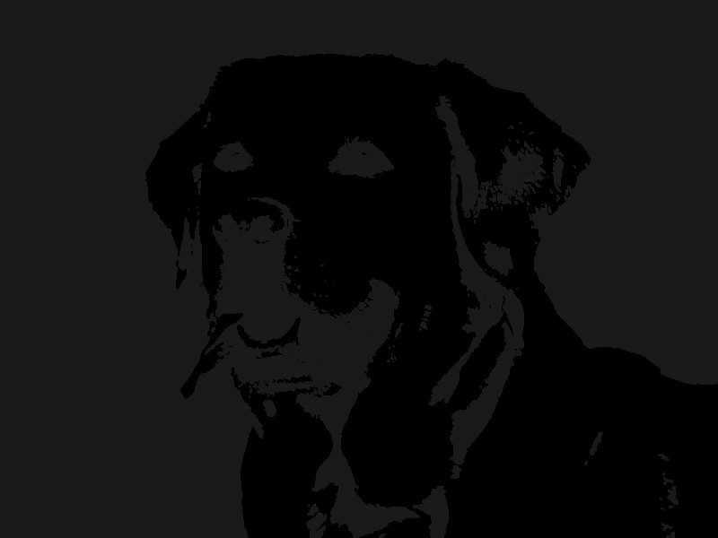 Трафарет лабрадора