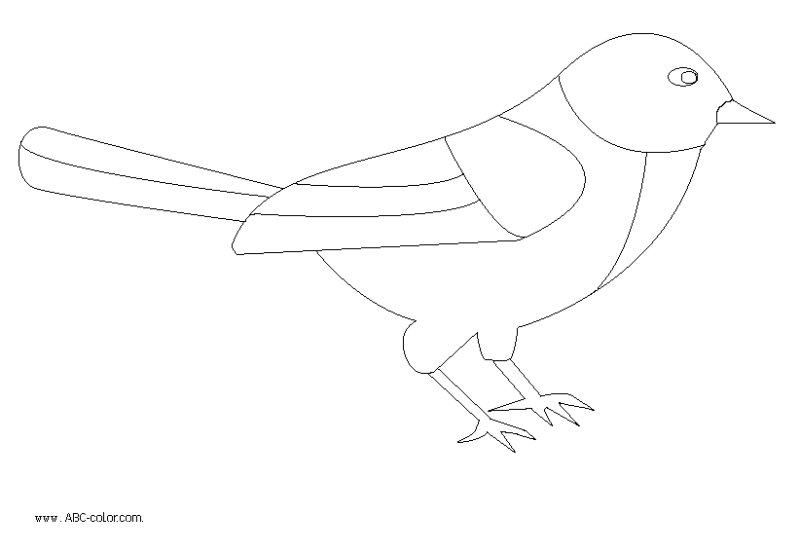 Контур птицы синицы