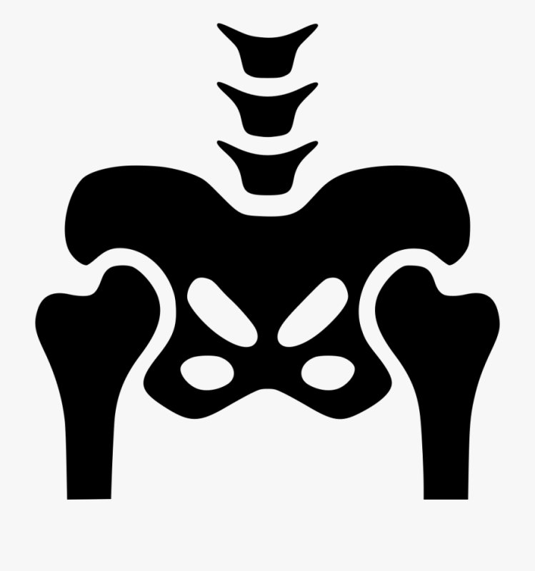 Кости скелета для костюма Кощея