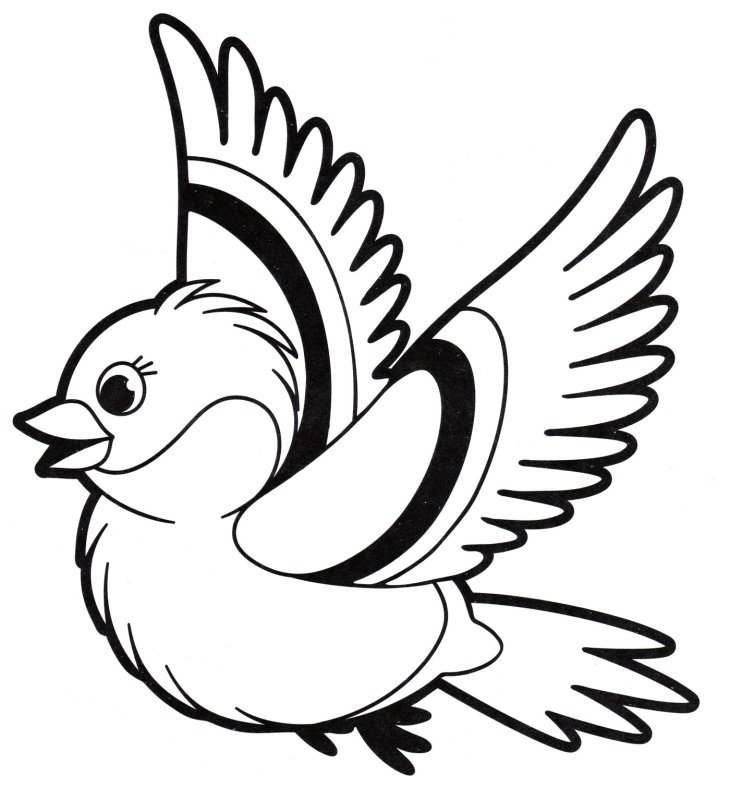 Птицы раскраска для детей