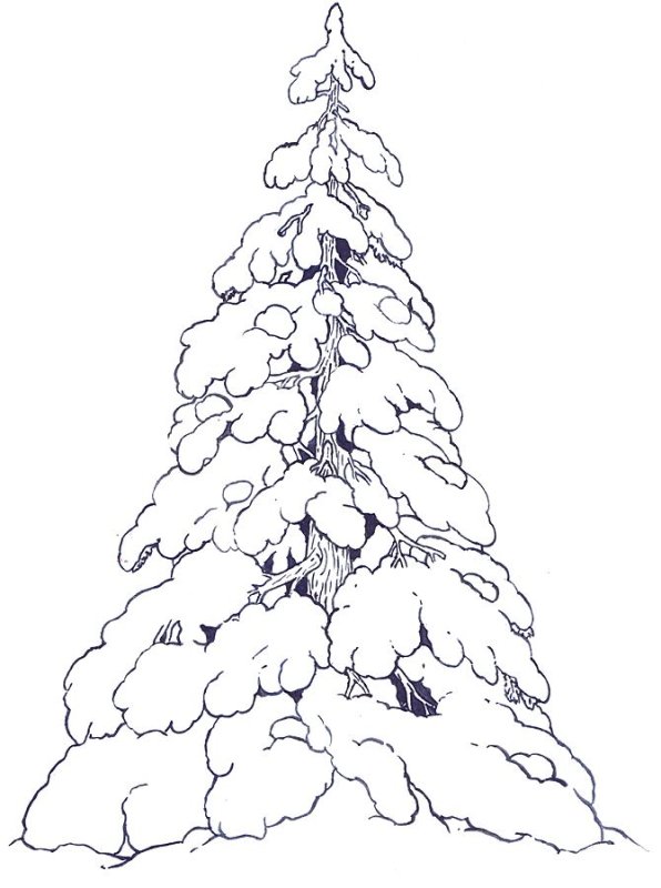 Ель раскраска для детей