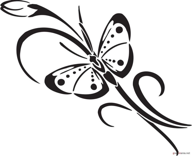 Бабочка рисунок векторный