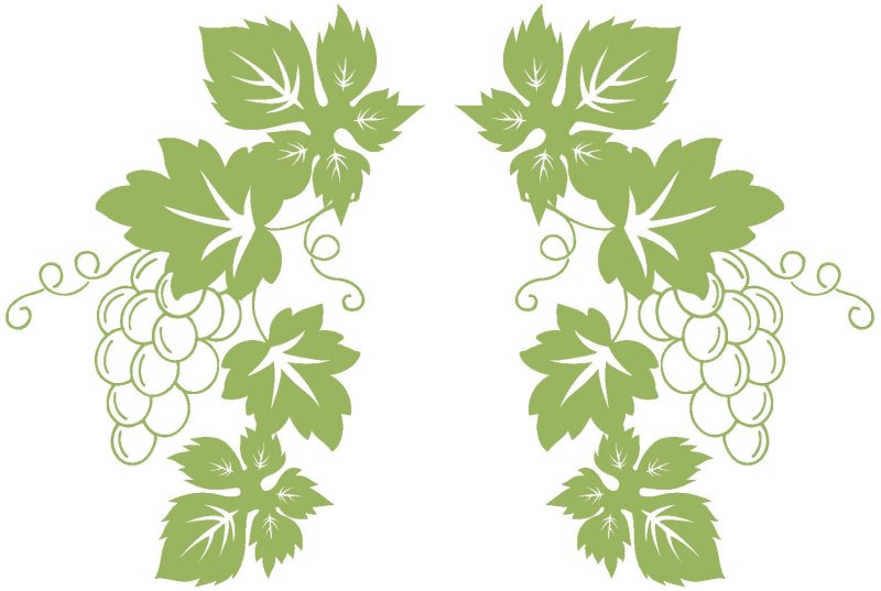 Трафарет Виноградная лоза
