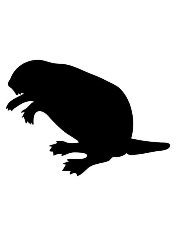 Бобер трафарет