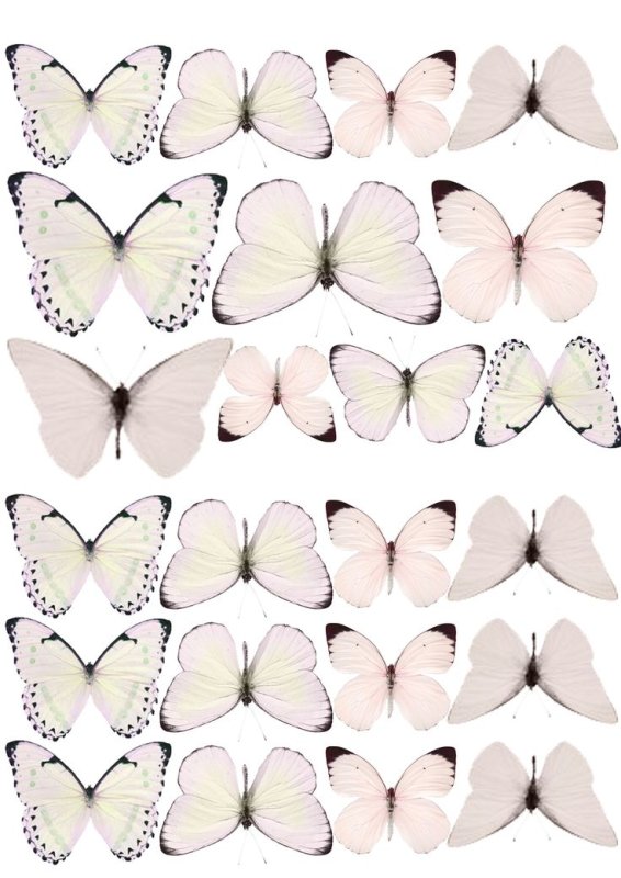 Бабочки сиреневые для печати