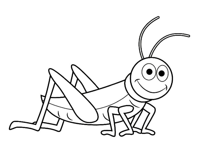 Кузнечик раскраска для детей