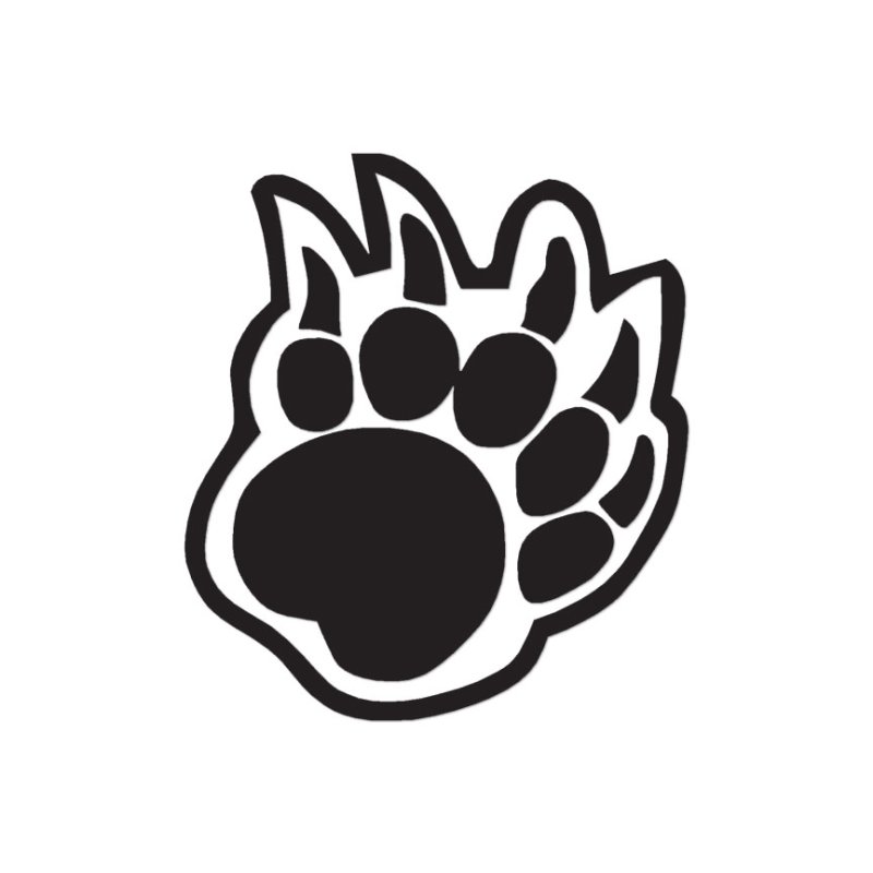 След медведя рисунок