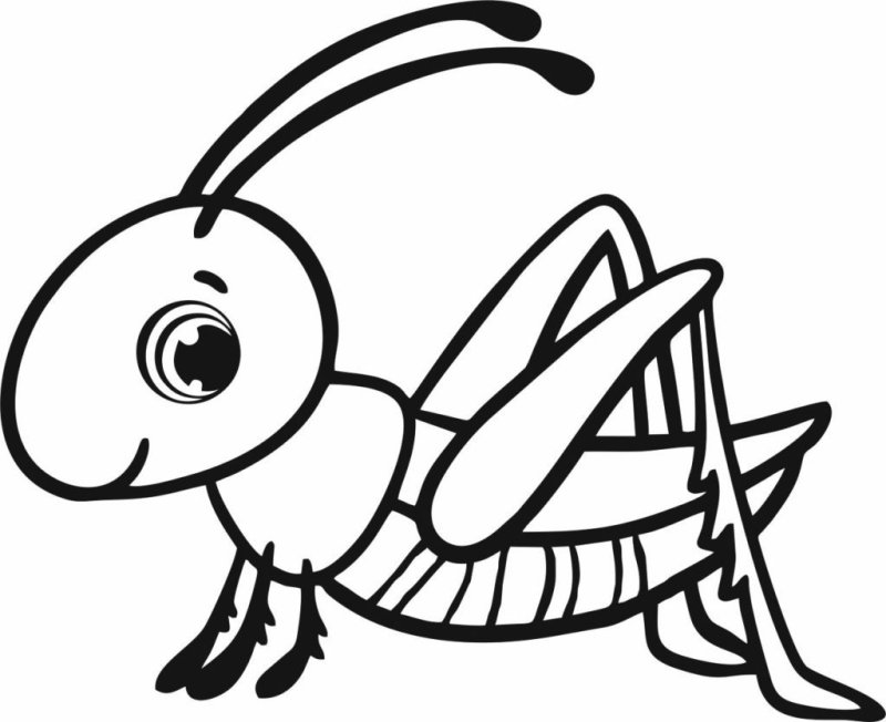 Раскраска насекомые для малышей