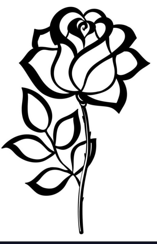 Роза контур