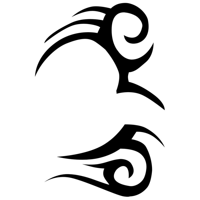 Татуировки майка Тайсона