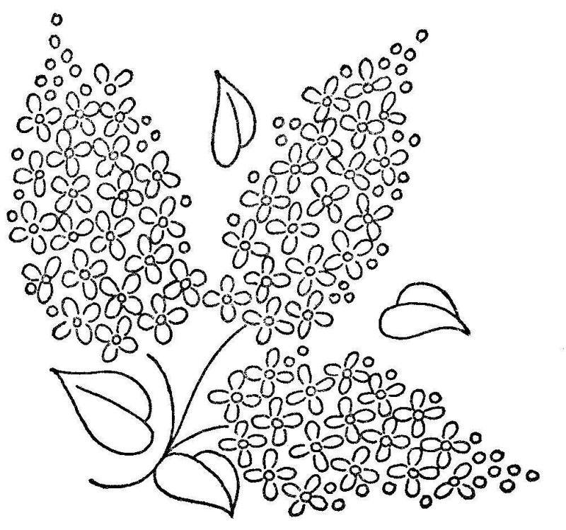 Рисование веточка сирени