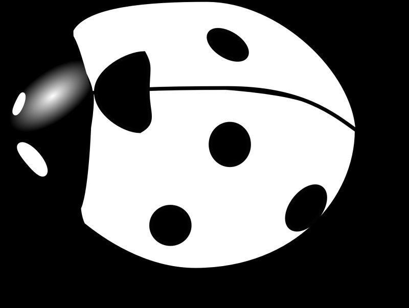 Божья коровка раскраска