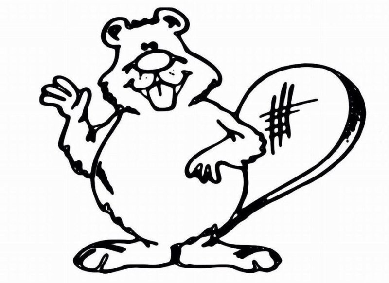 Бобр раскраска для детей