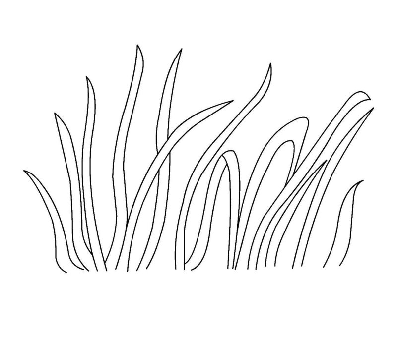 Травка раскраска для детей