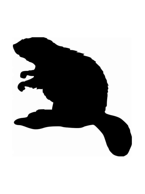 Трафарет бобра