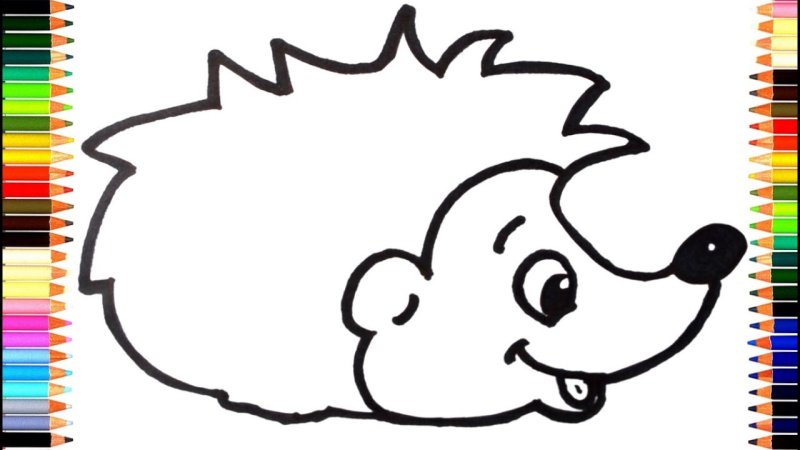 Ежик раскраска для малышей