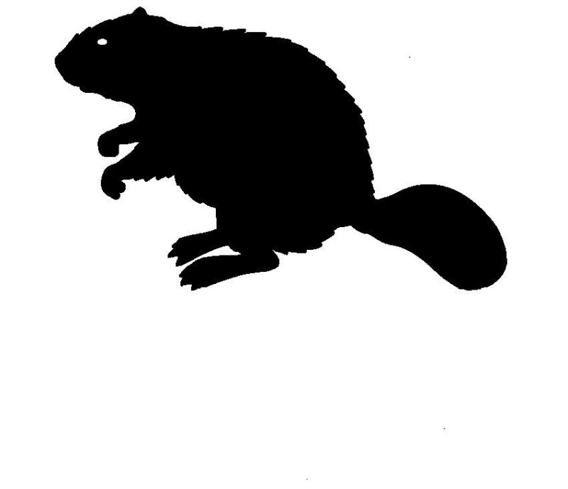 Черный силуэт бобра
