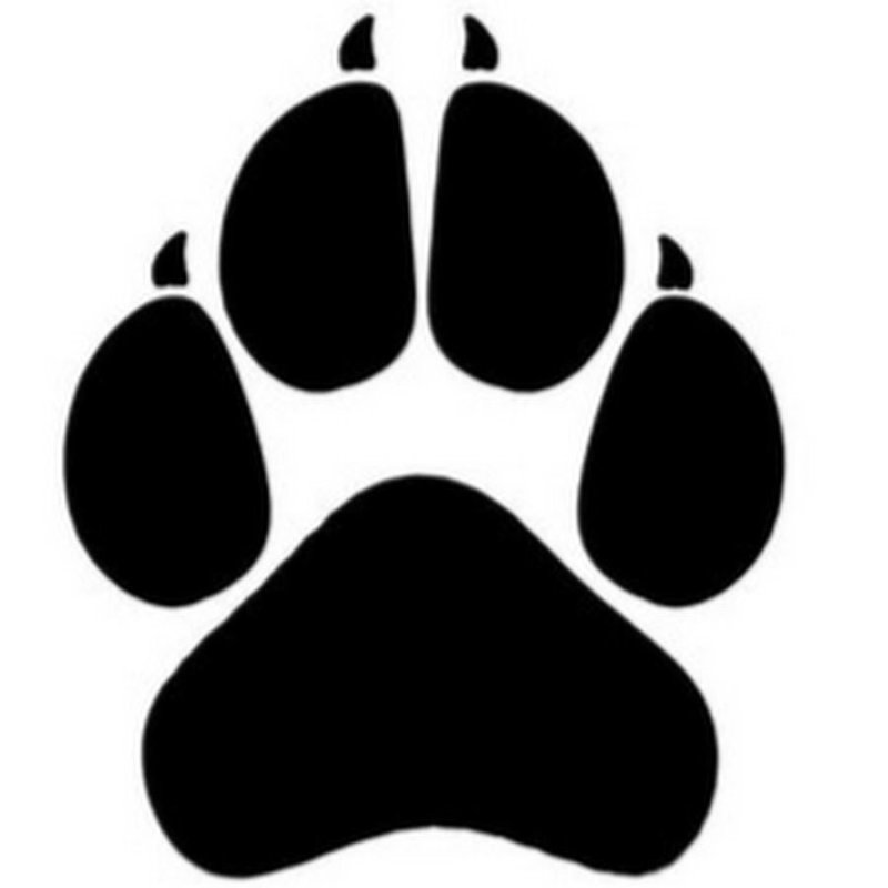 След собаки