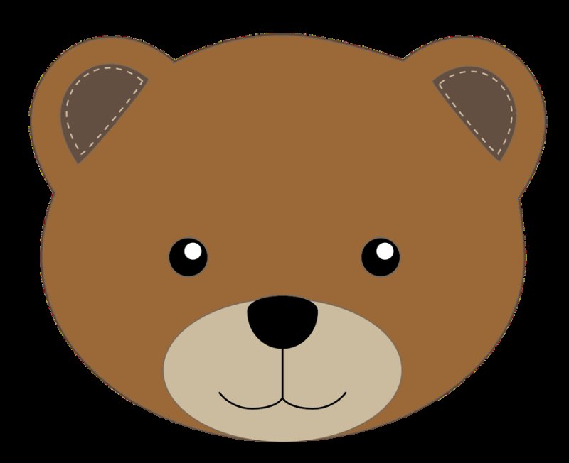 Мордашка медвежонка