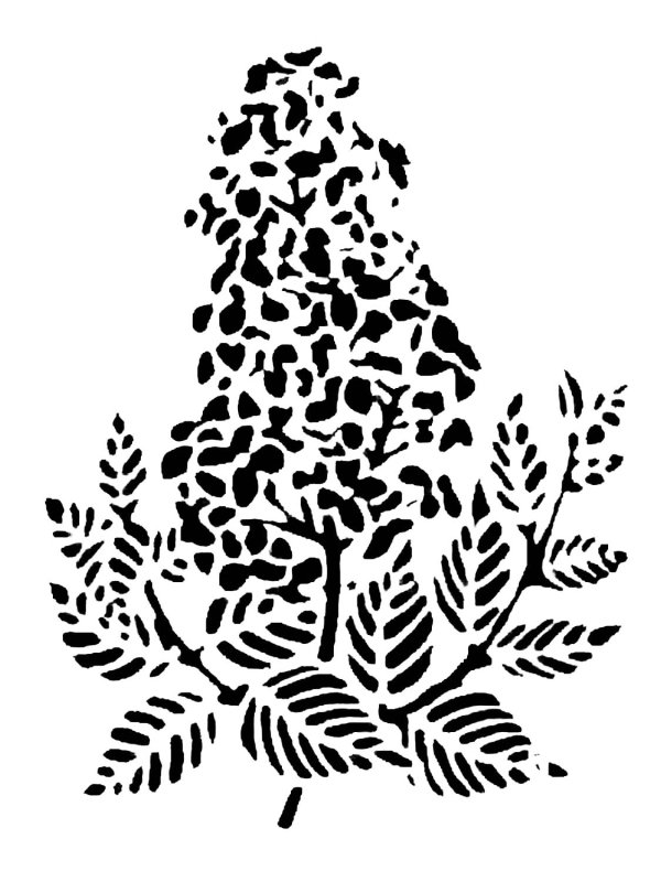 Сирень шаблон