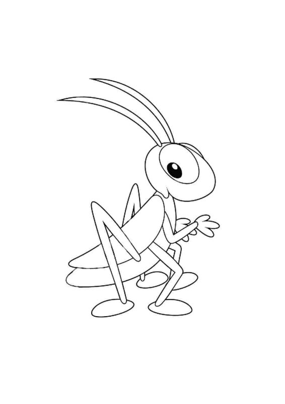 Кузнечик раскраска для малышей
