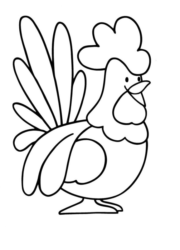 Петух раскраска для детей