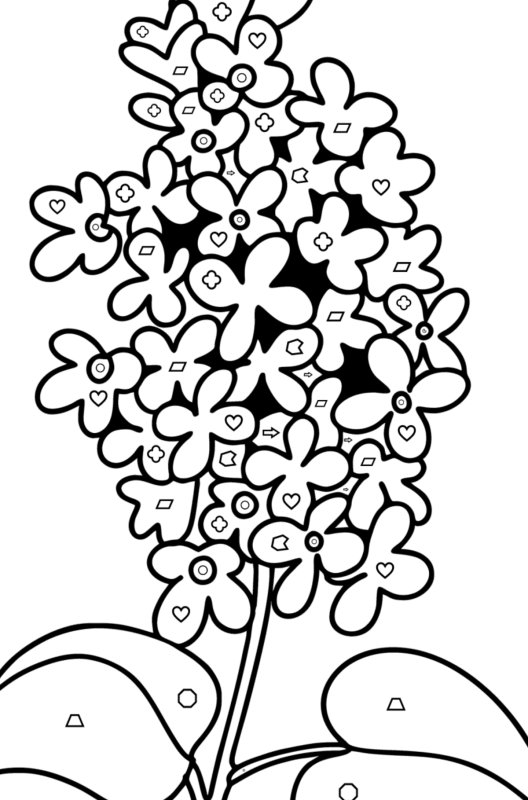 Сирень картинка для детей раскраска