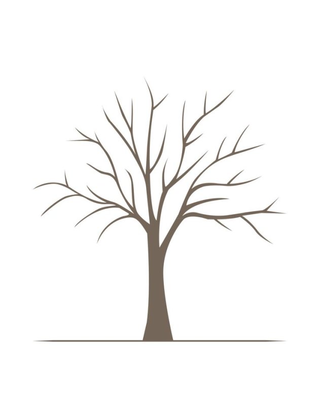 Силуэт дерева