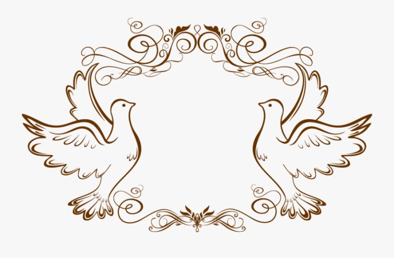 Свадебные голуби