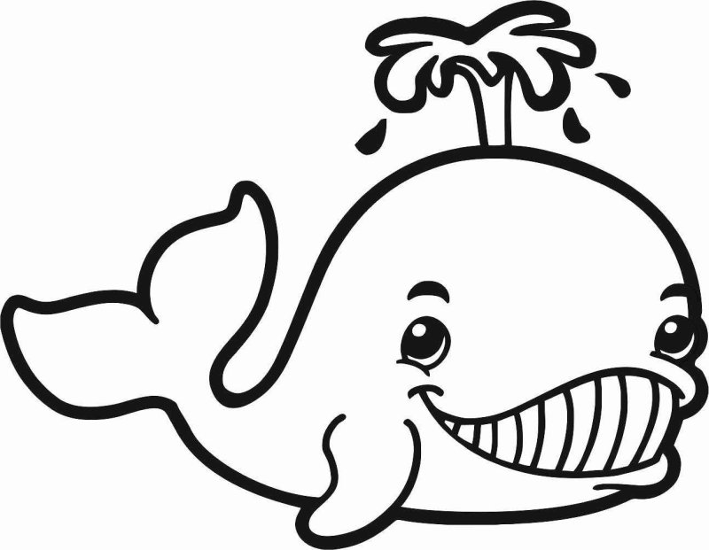 Кит раскраска для детей