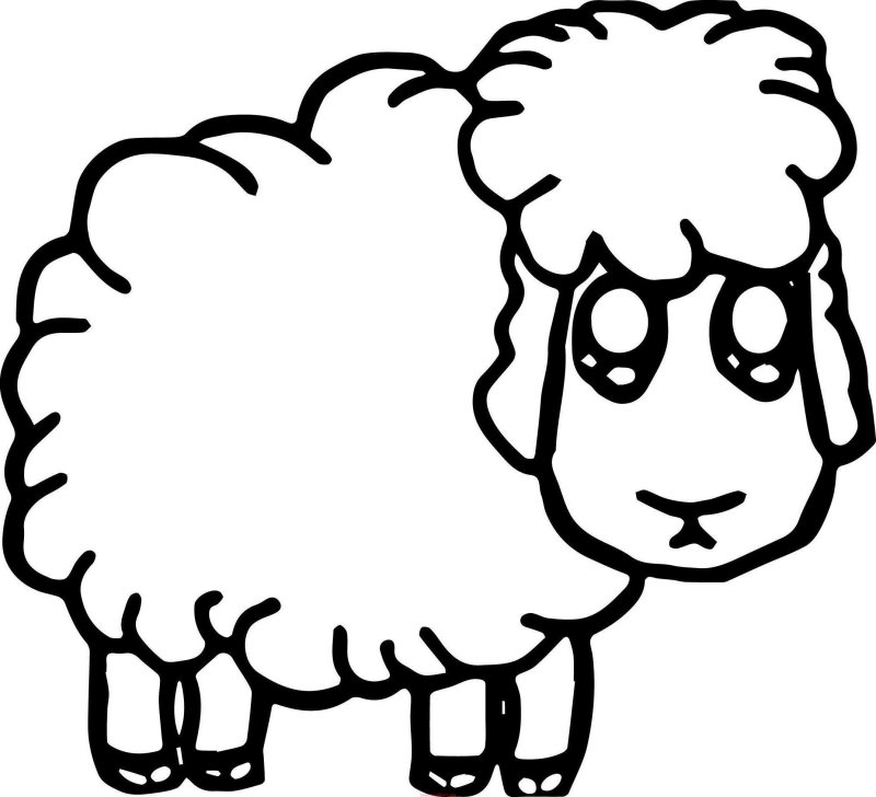 Овца раскраска