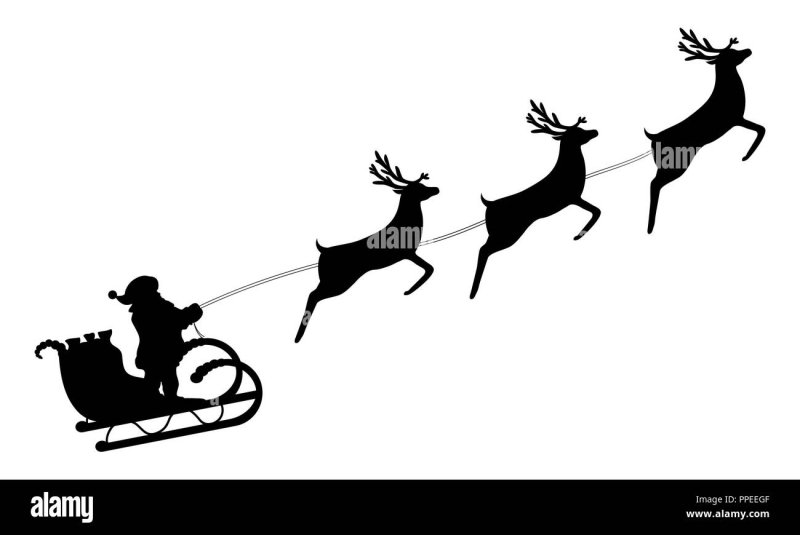 Упряжка оленей