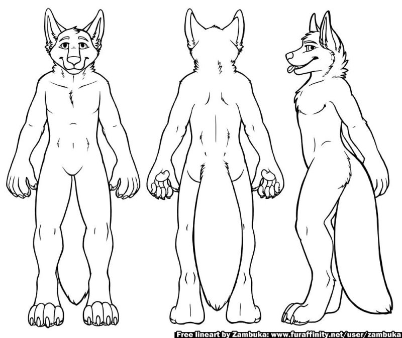 Фурсьют референс лайн волк