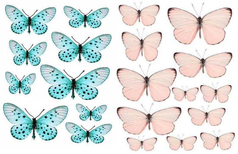 Бабочки для вырезания цветные