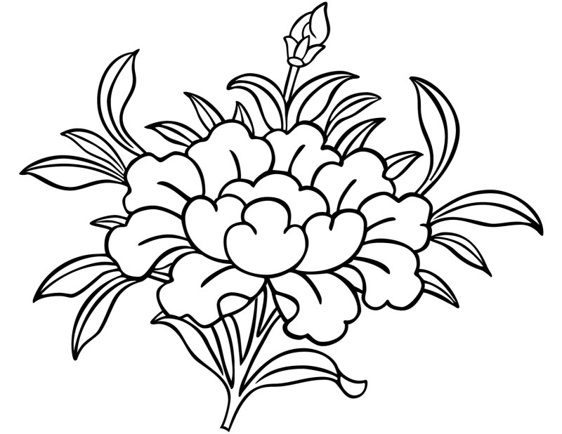 Фантастические цветы раскраска для детей