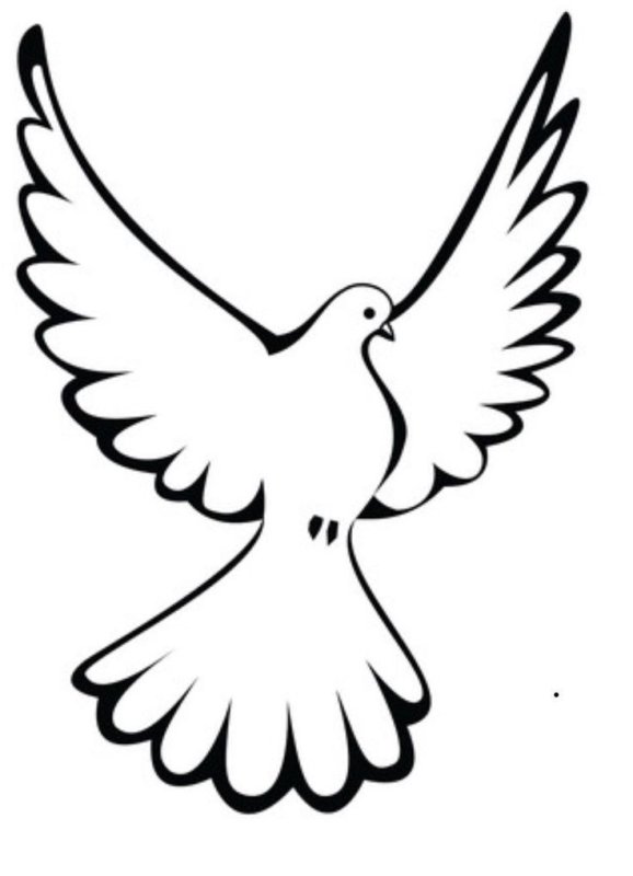 Голубь рисунок
