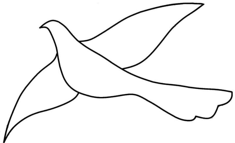 Трафареты птиц для рисования