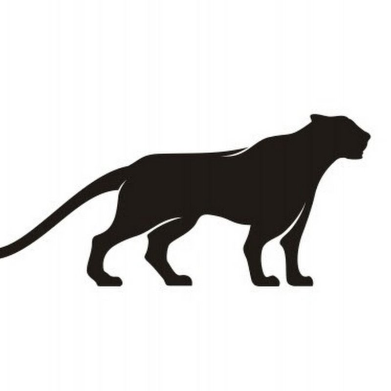 Силуэты хищных животных