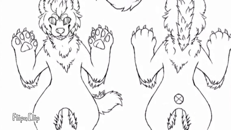 Референс фурри волка лайн