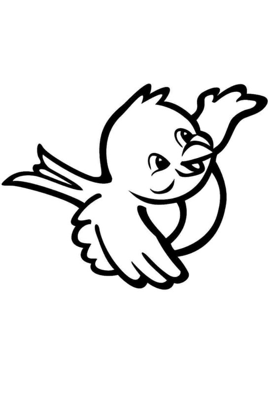 Птицы раскраска для детей