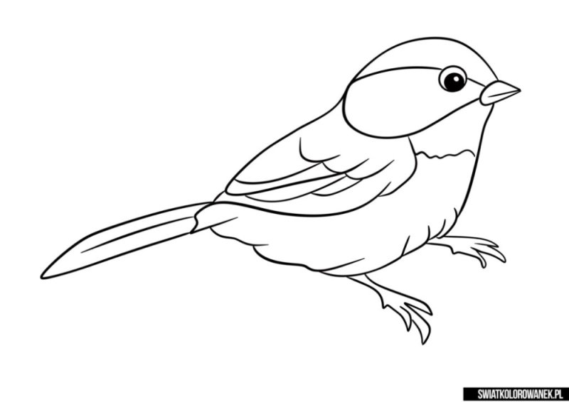 Птичка раскраска для детей
