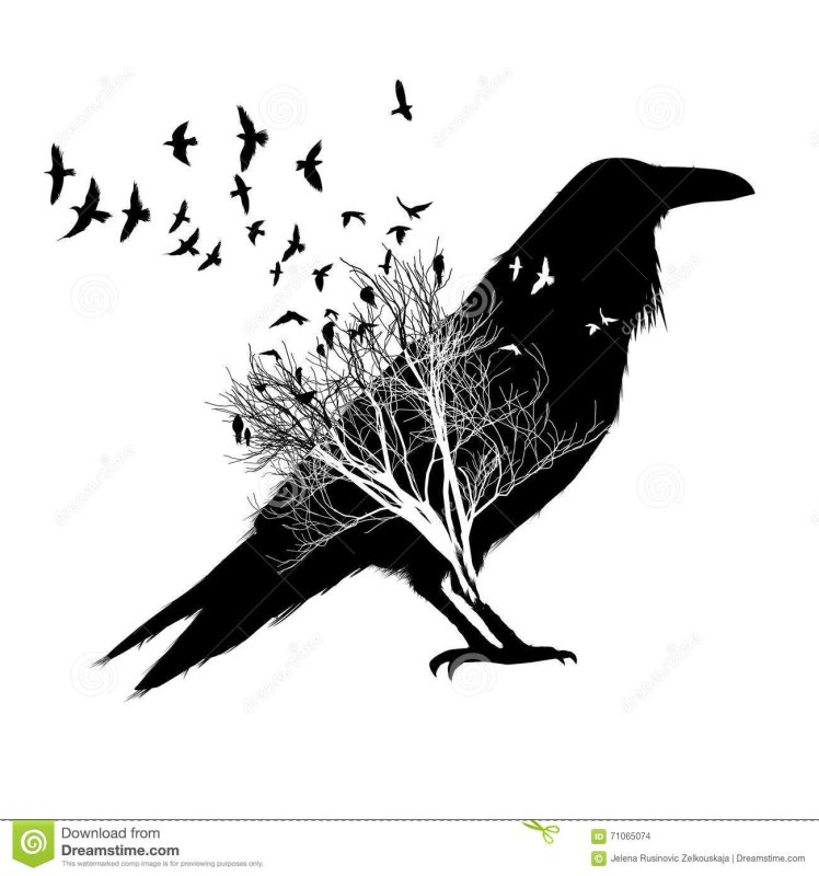 Силуэт ворона