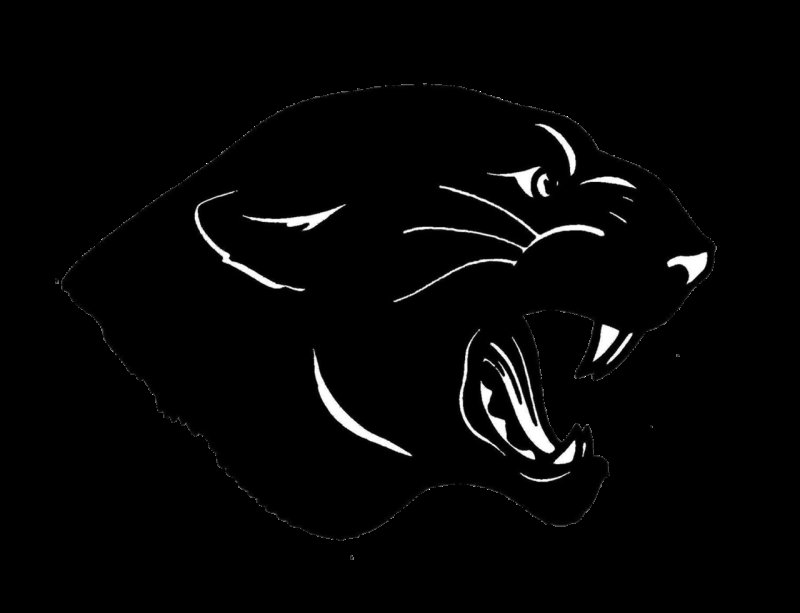 Пантера ОДОН вектор