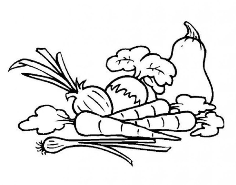 Здоровое питание раскраска