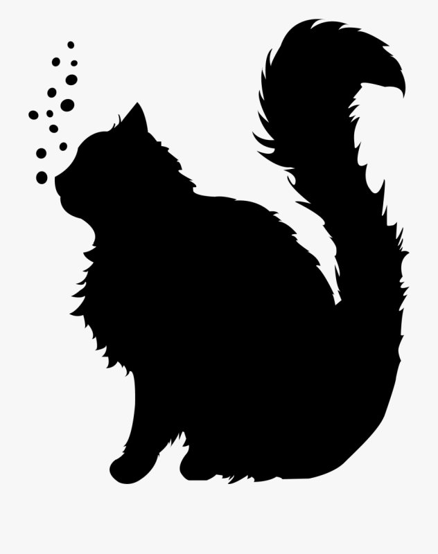 Кот с хвостом