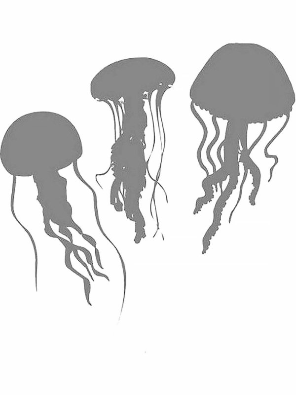 Медуза раскраска для детей