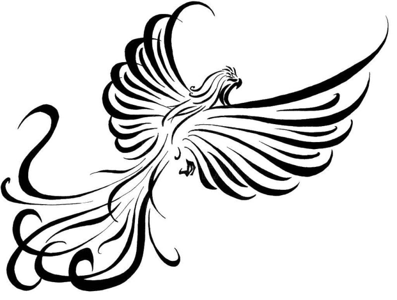 Сказочная птица раскраска