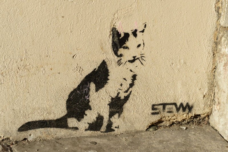 Граффити на стене кот